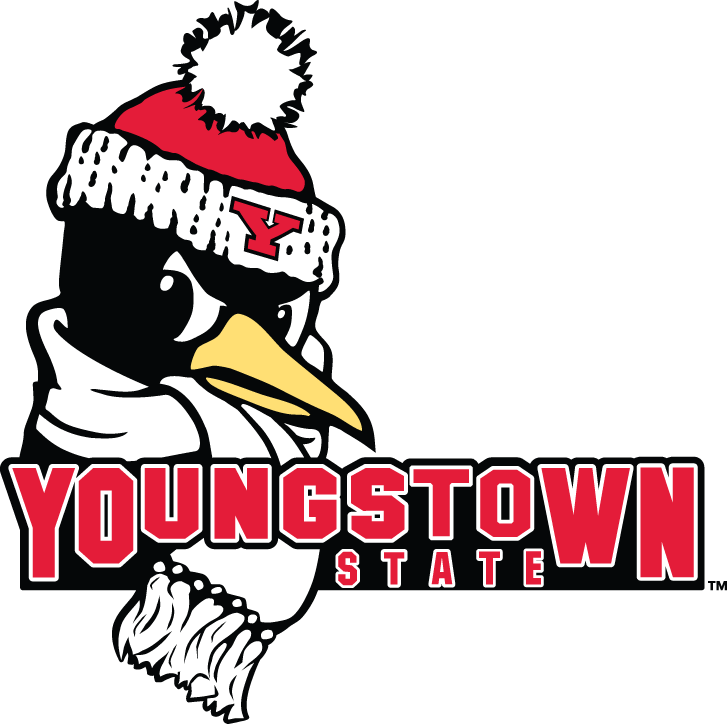 Youngstown State Penguins 2006-Pres Secondary Logo iron on transfers for T-shirts